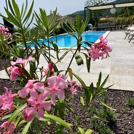 Appartement Luxury St Hedonist With Pool And Garden *