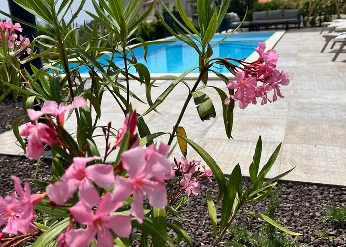 Apartment Luxury St Hedonist With Pool And Garden *